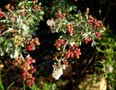 photo thumbnail #15