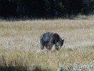 photo thumbnail #14