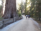 photo thumbnail #7