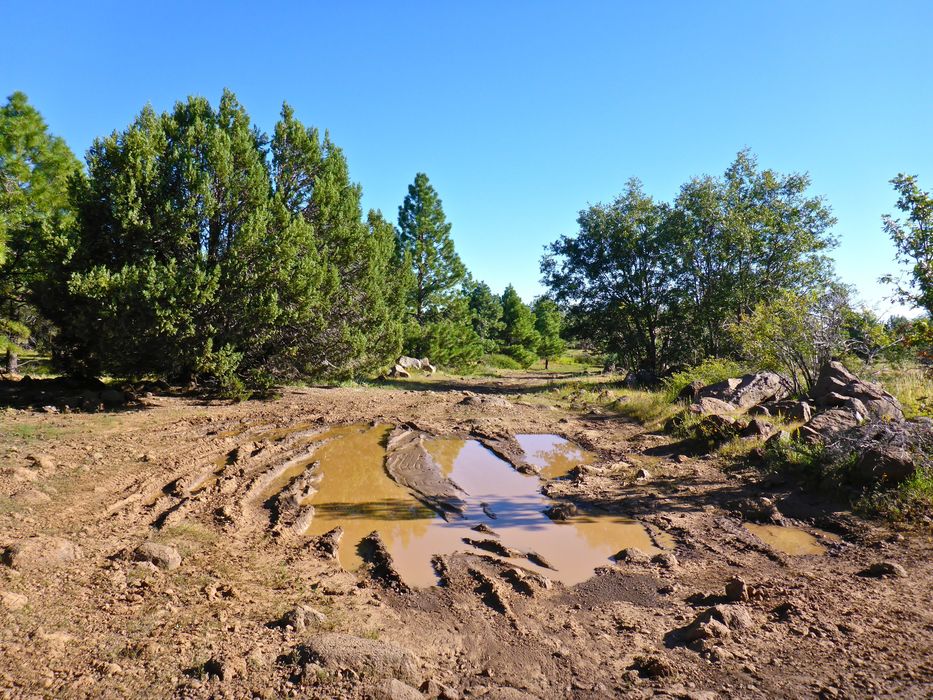 Big Bug Mesa Photo 3 • kingsnake • 20180913 •