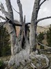 photo thumbnail #10