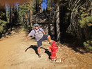 photo thumbnail #4