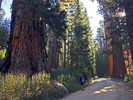photo thumbnail #6