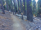 photo thumbnail #1