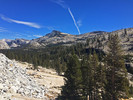 photo thumbnail #2