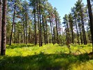 photo thumbnail #15