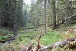 photo thumbnail #12