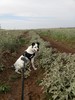 photo thumbnail #1