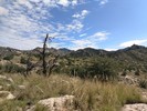 photo thumbnail #4