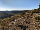 photo thumbnail #1
