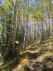 photo thumbnail #5