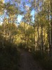 photo thumbnail #9