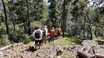 photo thumbnail #8