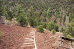 photo thumbnail #10