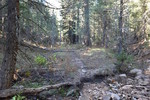photo thumbnail #3