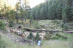 photo thumbnail #5