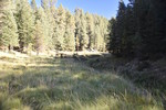 photo thumbnail #9