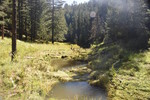 photo thumbnail #13