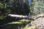photo thumbnail #15