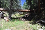 photo thumbnail #5