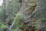 photo thumbnail #13