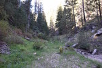 photo thumbnail #14