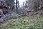 photo thumbnail #6