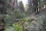 photo thumbnail #11