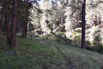 photo thumbnail #13