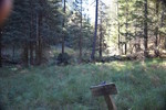 photo thumbnail #13