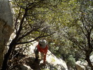 photo thumbnail #4