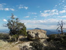 photo thumbnail #3