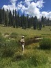 photo thumbnail #4