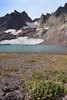 photo thumbnail #13