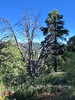 photo thumbnail #11
