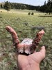 photo thumbnail #1