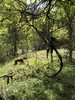 photo thumbnail #10