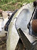 photo thumbnail #11
