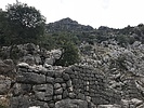 photo thumbnail #15