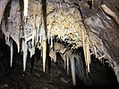 photo thumbnail #13