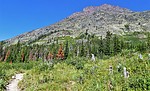 2018-08-03 :1: Upper Two Medicine Lake via North Shore :: tibber