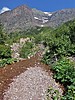2018-08-03 :1: Upper Two Medicine Lake via North Shore :: tibber