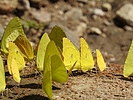 photo thumbnail #13