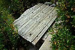 photo thumbnail #11