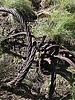 photo thumbnail #9