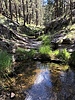 photo thumbnail #10