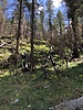 photo thumbnail #6
