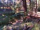 photo thumbnail #3