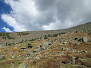 photo thumbnail #9