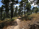 photo thumbnail #10